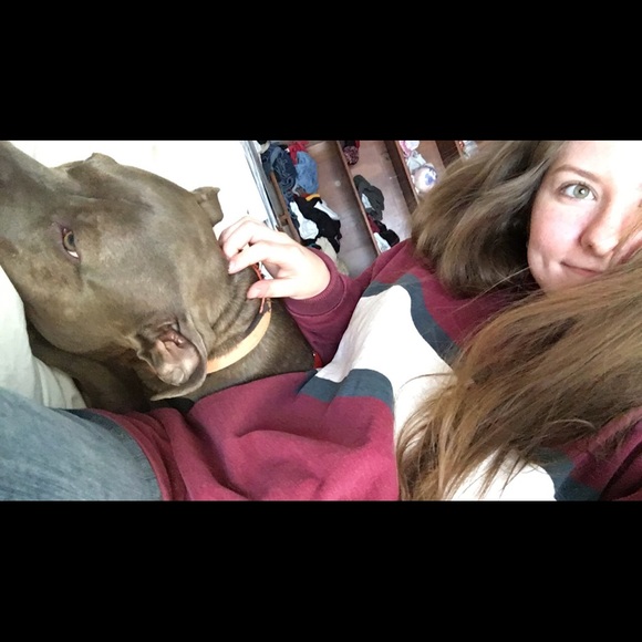 Meet your Posher, Sydney - Picture 1 of 1